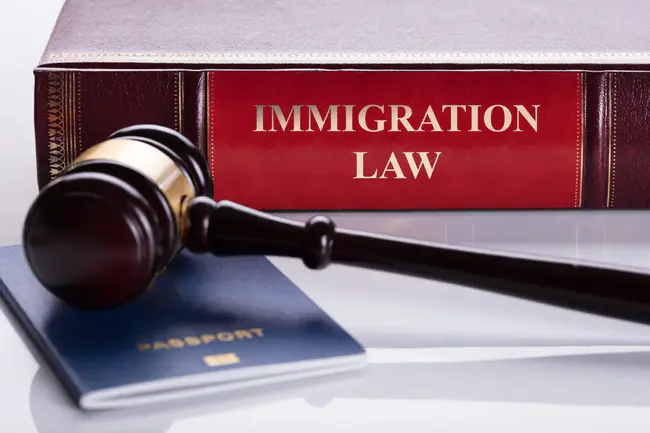 Immigration Law Practitioners Association : 移民法律从业人员协会