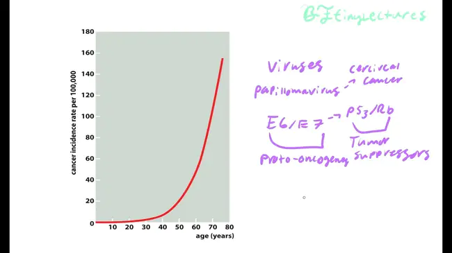 Cancer Cell Line Encyclopedia : 癌细胞系百科全书