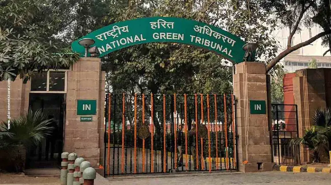 National Green Tribunal : 国家绿色法庭