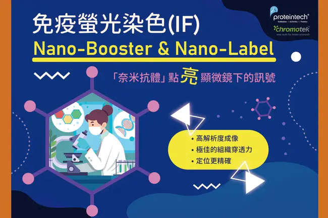 nanos GAL4 tubulin : 纳米Gal4微管蛋白