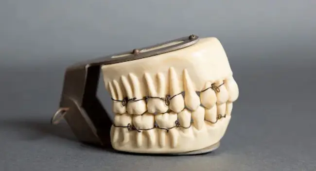 American Orthodontic Society : 美国正畸学会