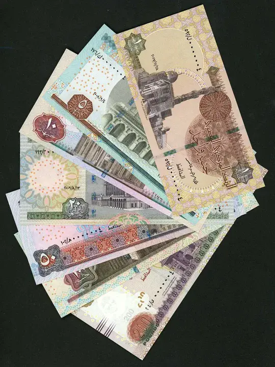 Central Bank of Egypt : 埃及中央银行