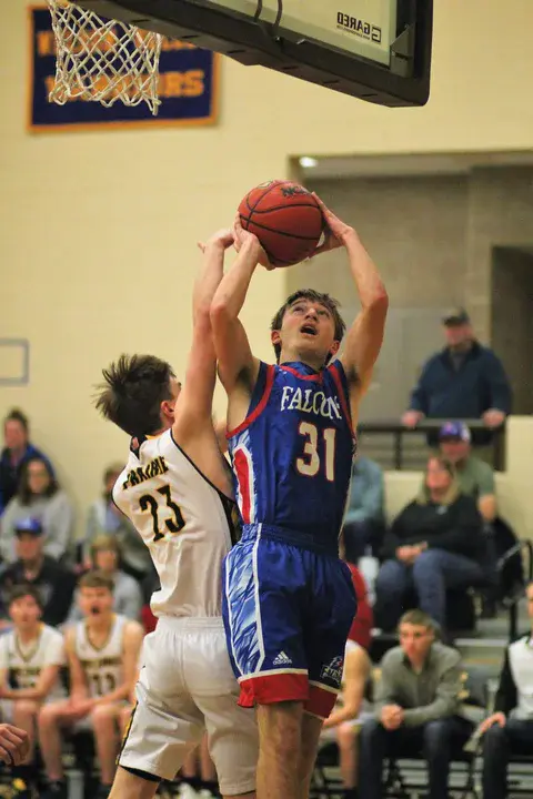 Basketball Ireland Post Primary Schools : 爱尔兰篮球后小学