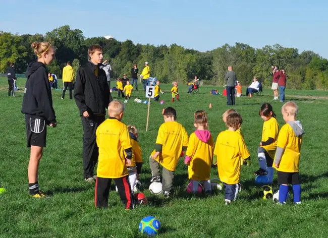 Saline Area Soccer Association : 盐碱地足球协会