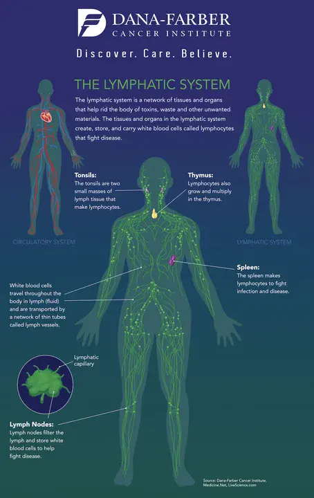 Lymphatic Malformation Institute : 淋巴畸形研究所