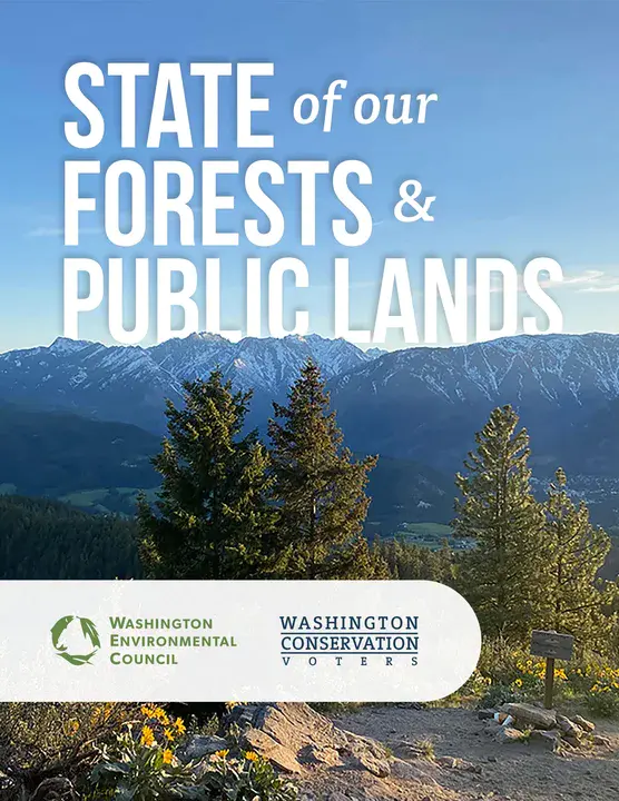 National Forest Policy Statement : 国家森林政策声明