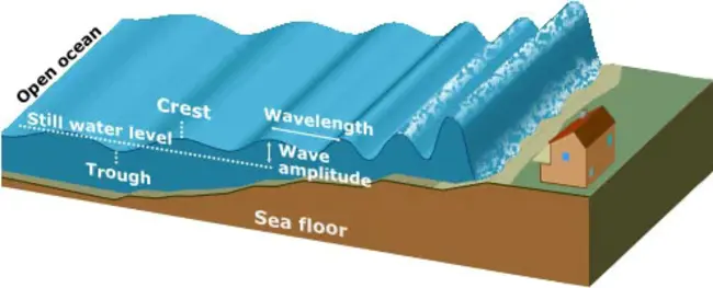 Sea Surface Height : 海面高度