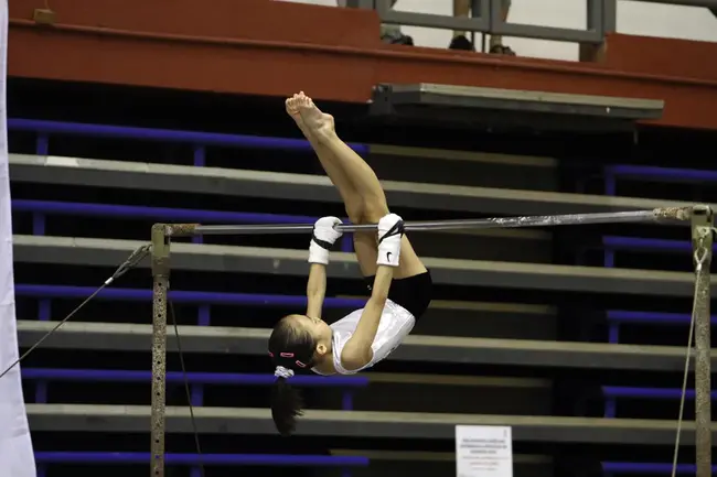 World Olympic Gymnastics Academy : 世界奥林匹克体操中心