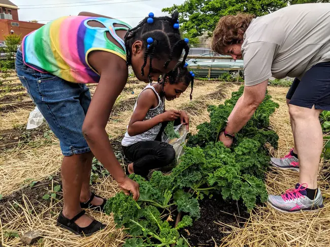 Good Earth Garden School : 好土花园学校