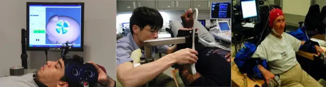 Human Neuromechanics Laboratory : 人类神经力学实验室