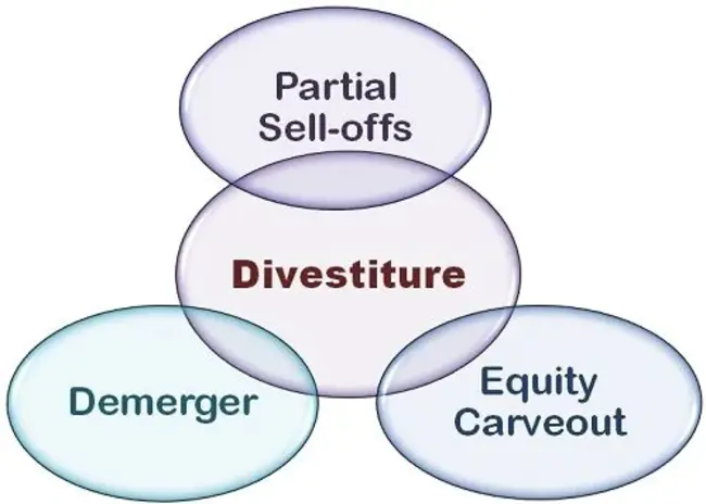 DIVESTiture : 剥离