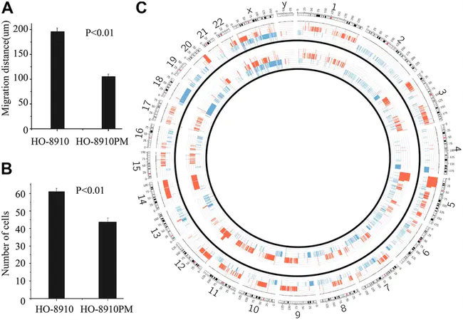 Genome Comparison Analytics Testing : 基因组比较分析测试