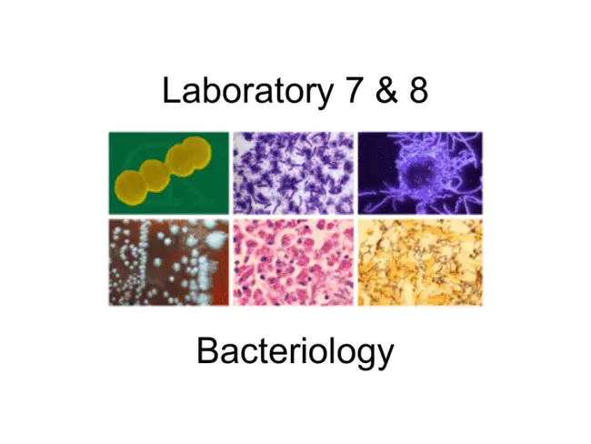 Advanced Molecular Biology Laboratory : 高级分子生物学实验室