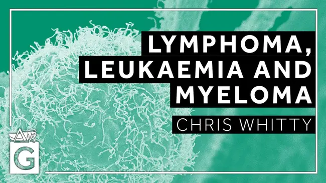 Clinical Lymphoma Myeloma and Leukemia : 临床淋巴瘤、骨髓瘤和白血病