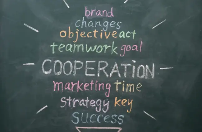 Cooperative Marketing Partner : 合作营销伙伴