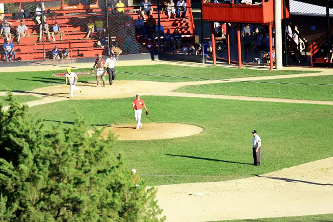 South Brooklyn Baseball League : 南布鲁克林棒球联盟