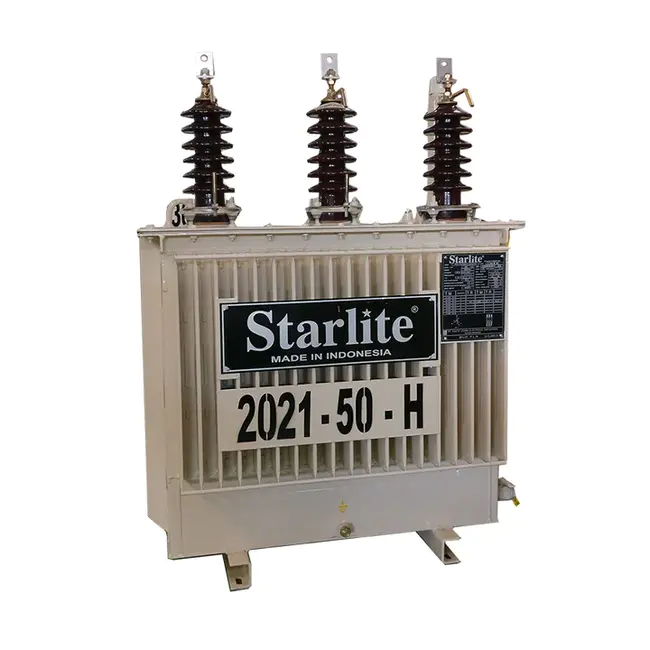 Distribution Transformer Monitoring Unit : 配电变压器监控单元