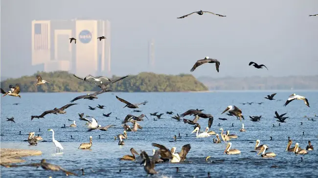 Indian River Lagoon Aquatic Preserves : 印度河泻湖水生保护区