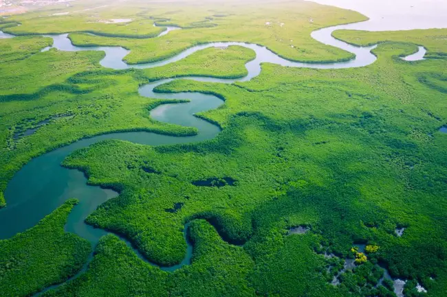 Natural Community Conservation Planning : 自然社区保护规划