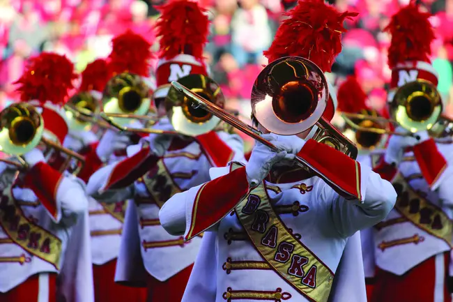 Marching Owl Band : 行军猫头鹰乐队