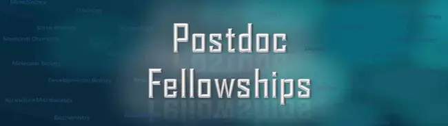 Postdoctoral Research Fellowships : 博士后研究奖学金