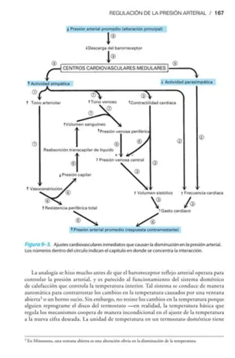 Diabetes and Cardiovascular Research Group : 糖尿病与心血管研究组