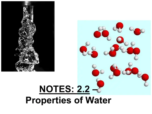 Water Organics Minerals and Biology : 水有机物矿物与生物学