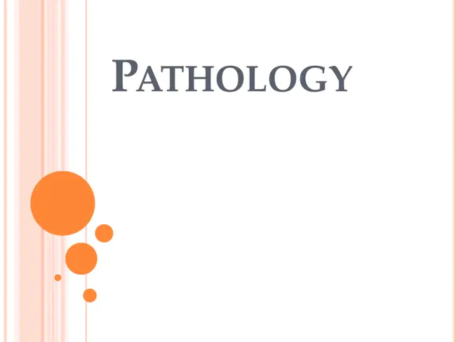 Pathology and Oncology Research : 病理与肿瘤学研究