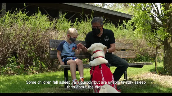 Autism Assistance Dogs Ireland : 自闭症援助犬爱尔兰