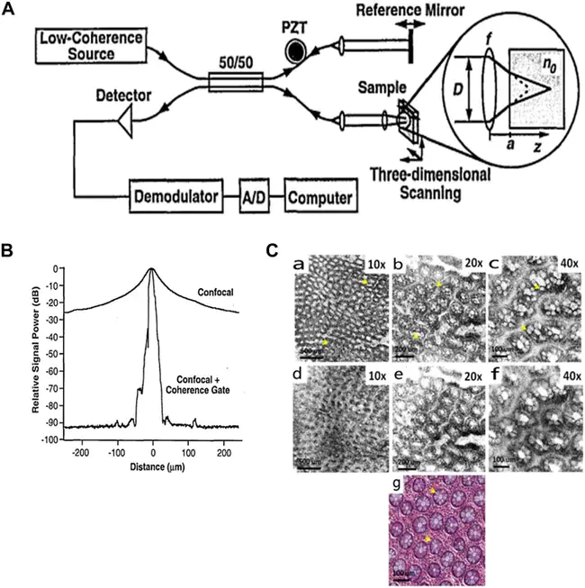 direct confocal absorption Microscopy“ : 直接共聚焦吸收显微镜