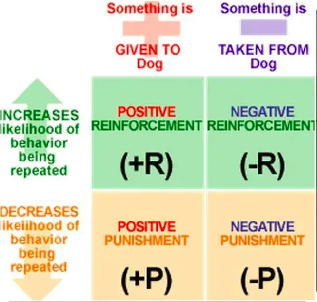 Positive Reinforcement Nursing : 正强化护理