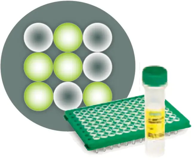 Gene Therapy and Molecular Biology : 基因治疗与分子生物学