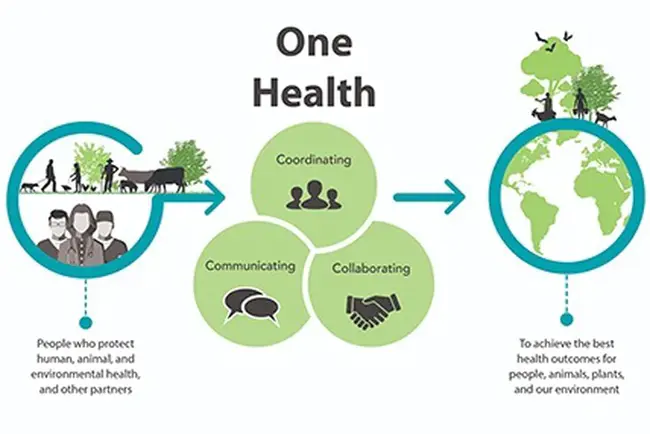 Health Environmental Research Online : 健康环境在线研究