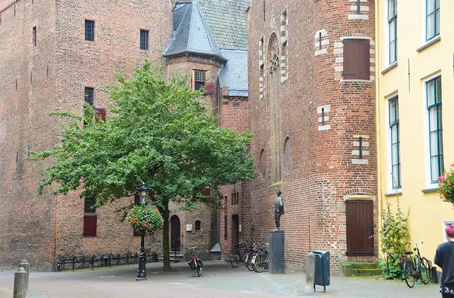 Academisch Ziekenhuis Utrecht : 乌得勒支大学医院