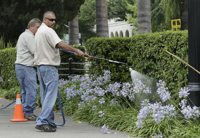 California Waste Services : 加利福尼亚州废物管理局