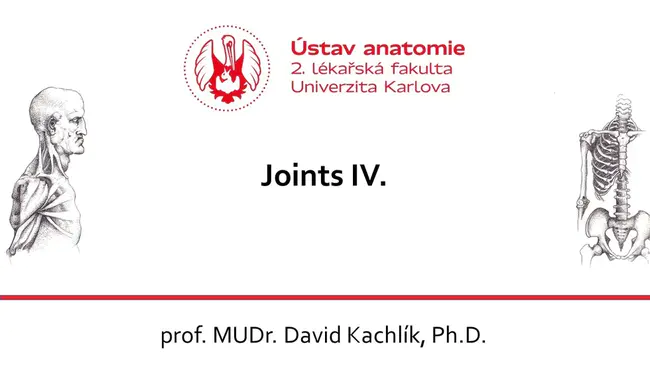 Joint Test Advisory Group : 联合测试咨询小组