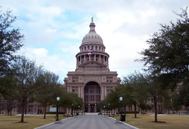 Texas Council of Academic Libraries : 德克萨斯大学图书馆委员会