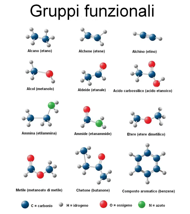 Gruppo Modenese Scienze Naturali : 莫德内塞自然科学集团