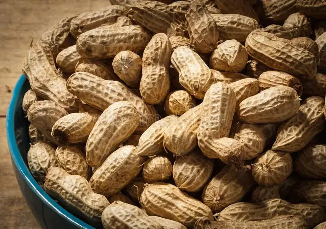 Groundnut Rosette Virus from East Africa : 东非花生花环病毒