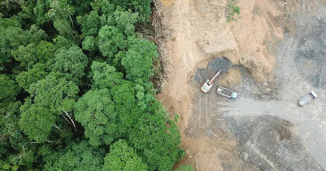 Forest and Wildlife Ecology : 森林与野生动物生态学