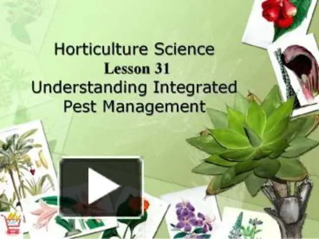 Scientific Pest Management : 科学的害虫管理