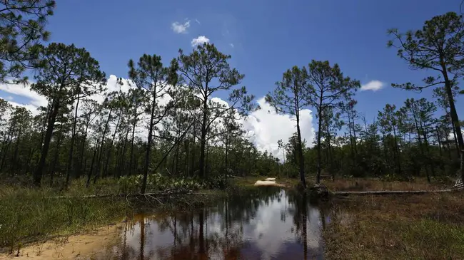 Water Environment Association of Texas : 德克萨斯州水环境协会