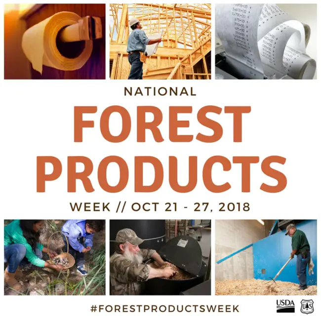 Forest Products Association of Canada : 加拿大林产品协会