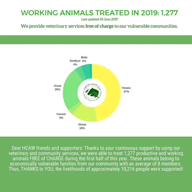 Humane Law Enforcement : 人道执法