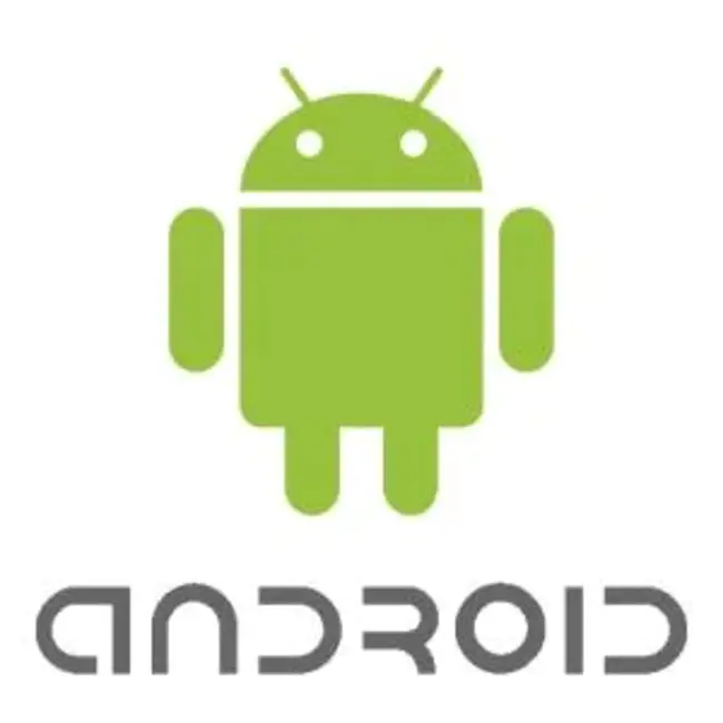 Android Web Developer : Android Web开发人员