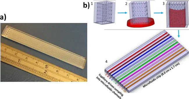 Capillary Automated Footprinting Analysis : 毛细管自动足迹分析