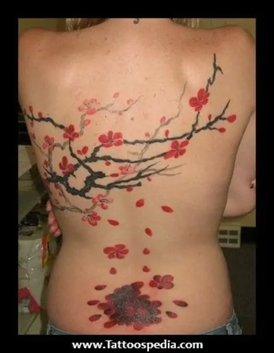 Cherry Blossom Tree : 樱花树