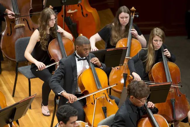 Orchestra for Talented Youth : 青年才俊管弦乐团