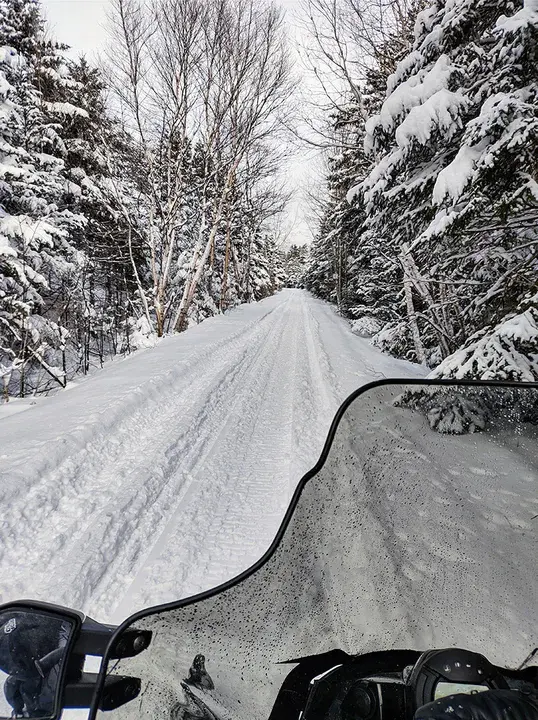 Newfoundland and Labrador Snowmobile Federation : 纽芬兰和拉布拉多摩托雪橇联合会