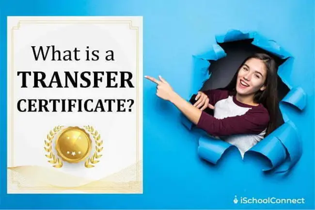 Transfer Certificate : 转让证书